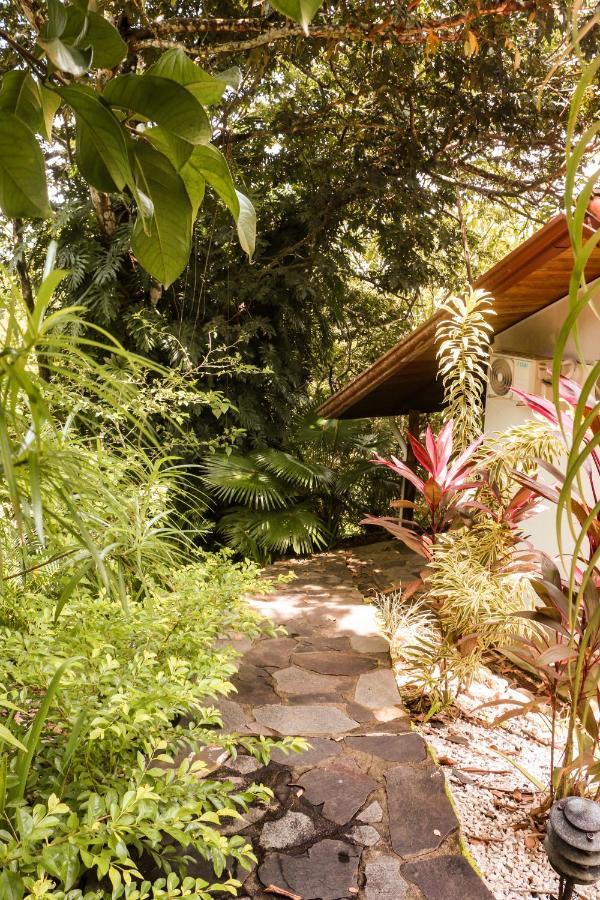Finca Los Caballos Montezuma Exteriér fotografie
