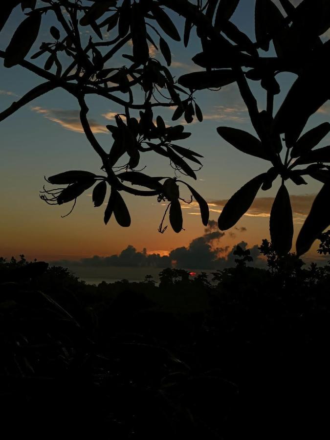 Finca Los Caballos Montezuma Exteriér fotografie