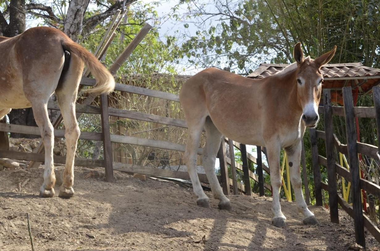 Finca Los Caballos Montezuma Exteriér fotografie